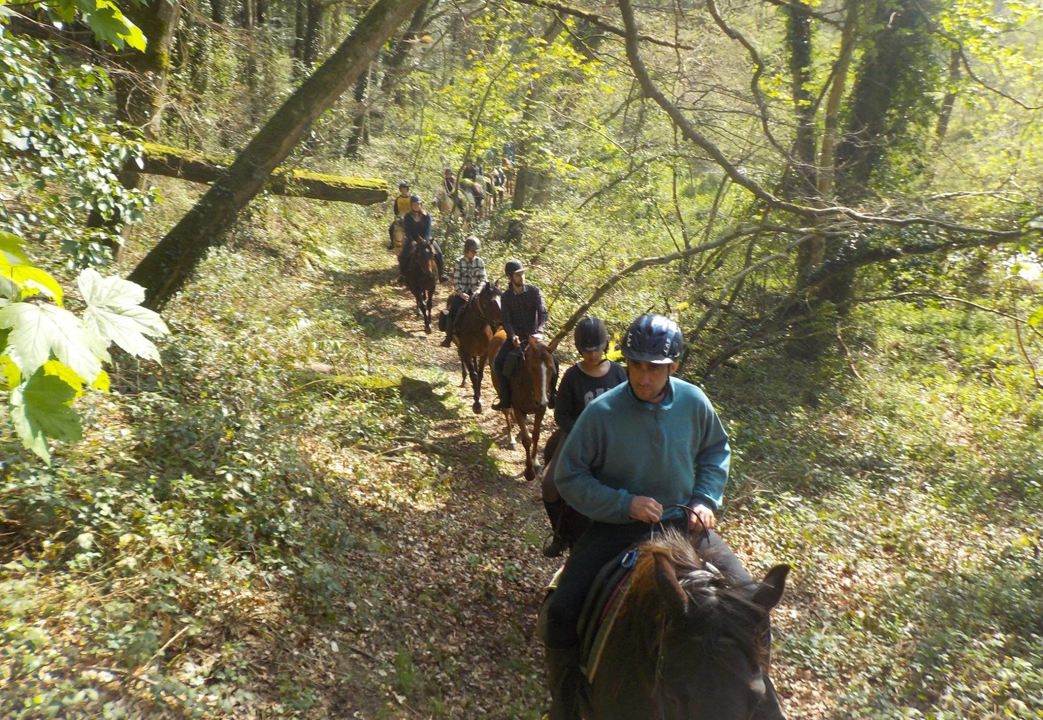 balade à cheval